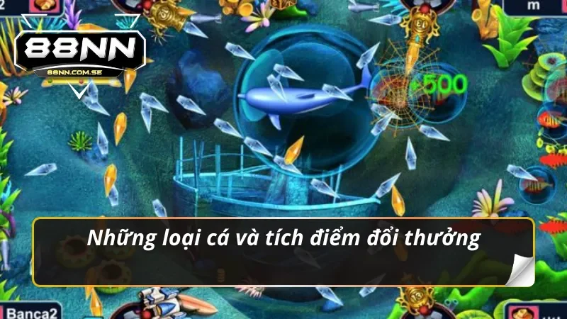 Bắn cá H5 đổi điểm thưởng siêu khủng